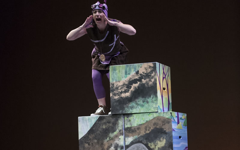 bichejos_004 bichejos_004