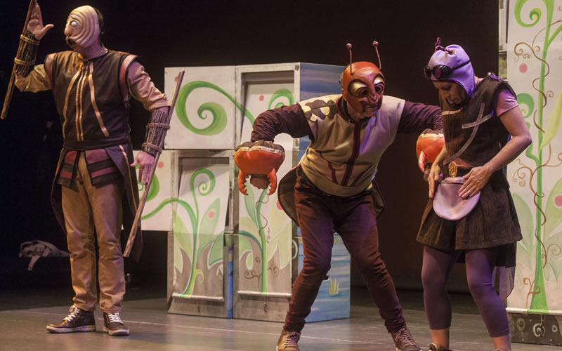 bichejos_006 bichejos_006